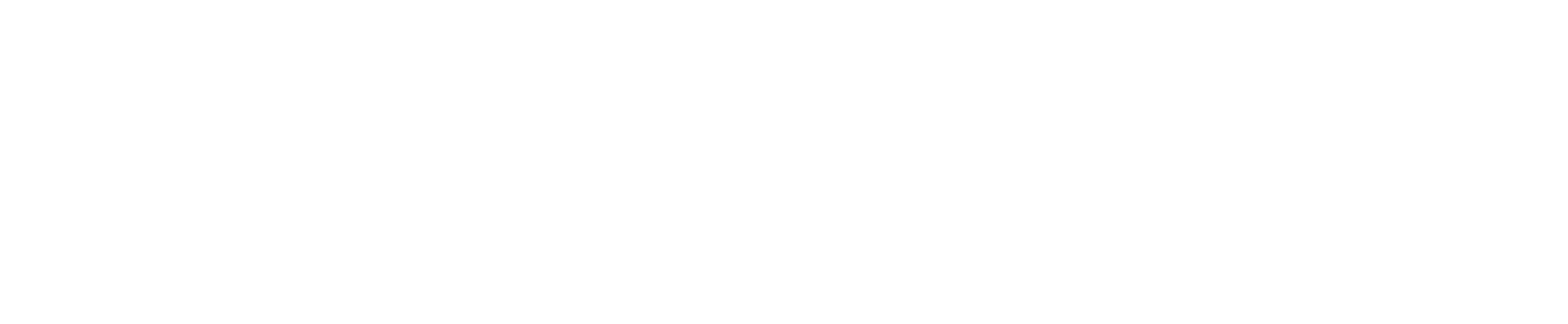 Logo White